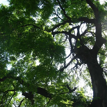 Relax House Slavka *