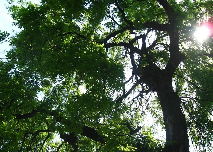 Relax House Slavka *