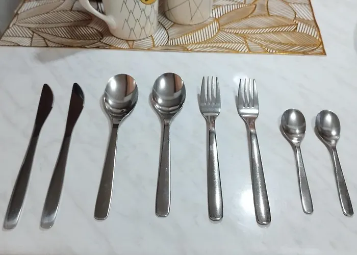 Relax House Slavka Daire Beçkerek