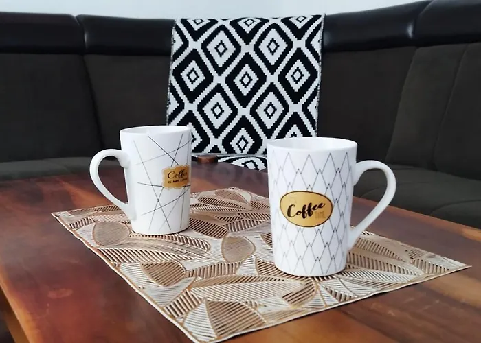 Relax House Slavka Daire Beçkerek